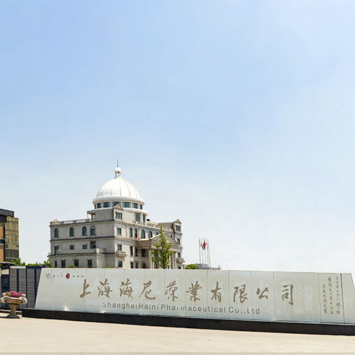 上海海尼药业 消防维保